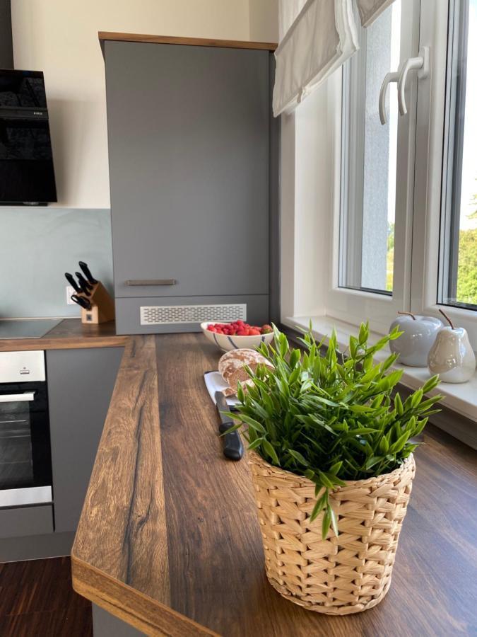 Modernes Apartment Am Hafen Mit Seeblick Grossraschen Εξωτερικό φωτογραφία