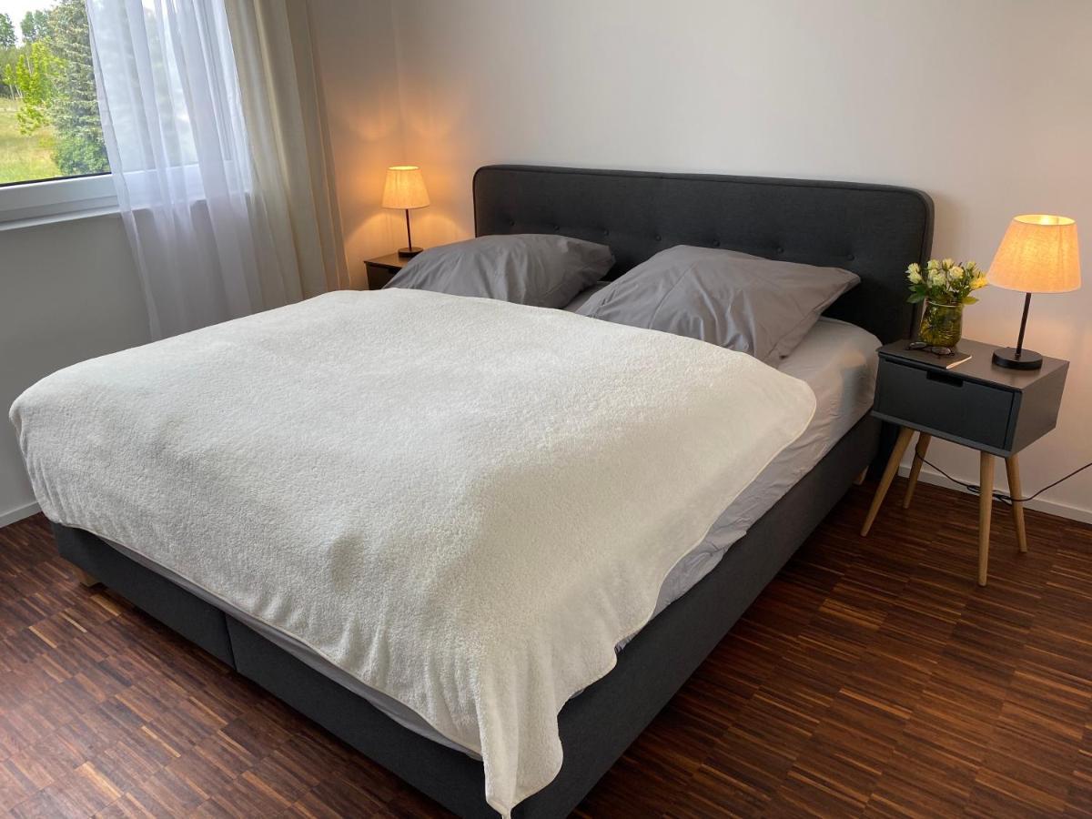 Modernes Apartment Am Hafen Mit Seeblick Grossraschen Εξωτερικό φωτογραφία
